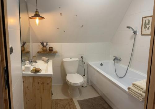 a bathroom with a toilet and a bath tub at Hole in Zakopane
