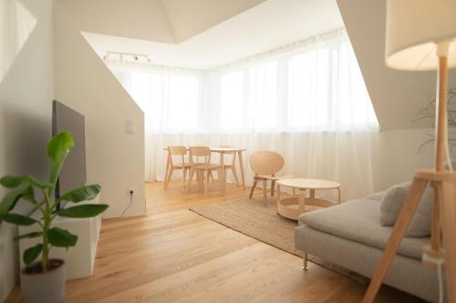 Penthouse with a terrace near Schonbrunn Palace