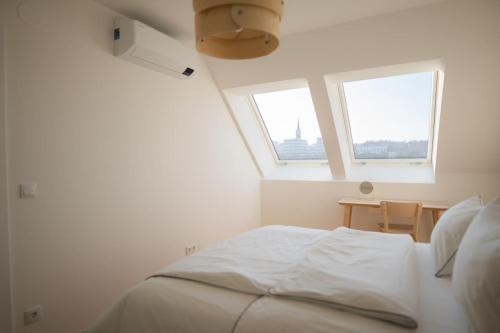 Penthouse with a terrace near Schonbrunn Palace
