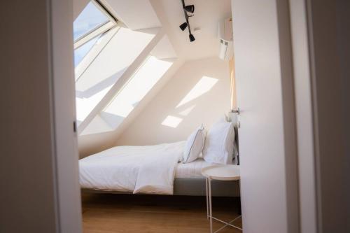 Penthouse with a terrace near Schonbrunn Palace