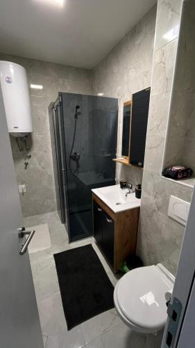 a bathroom with a shower and a toilet and a sink at Stan na dan Bor in Bor