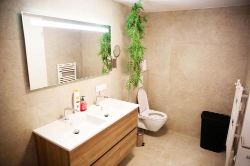 a bathroom with a sink and a toilet and a mirror at Elite Suite in Liège