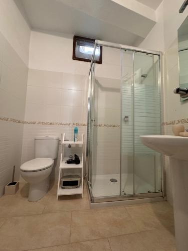 a bathroom with a shower and a toilet and a sink at Cal Padrí in Caseras