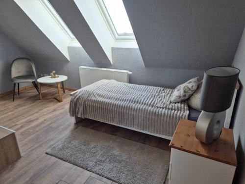 a bedroom with a bed and a ceiling with skylights at Haus an der Dorfteichstraße in Alt Krenzlin