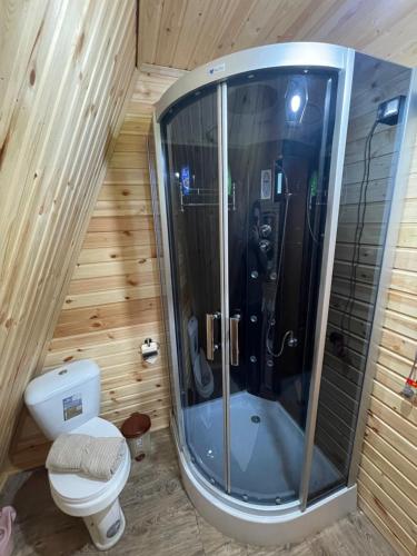 a bathroom with a toilet and a shower at River View Cabin Kazbegi in Kazbegi