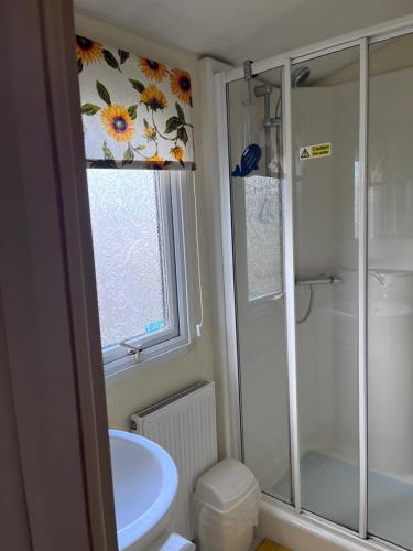 a bathroom with a shower and a toilet and a sink at Cocos haven in Ballantrae