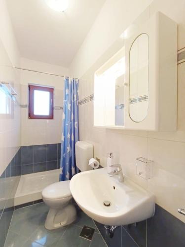 a bathroom with a sink and a toilet and a mirror at Apartment Vesna in Medulin