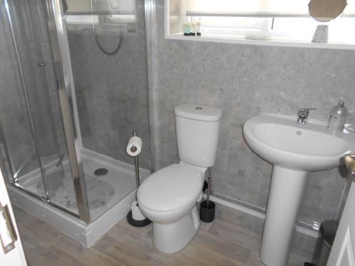 a bathroom with a shower and a toilet and a sink at Acorns in Wavehorne