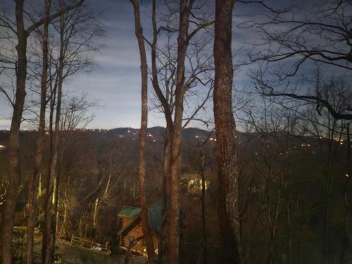 Smoky's View photo 84