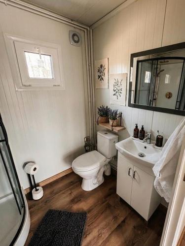 a bathroom with a toilet and a sink and a mirror at Domki303 in Mszczonów