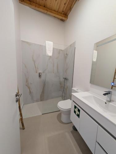 a bathroom with a shower and a toilet and a sink at Casas Albano 1 in Caldas da Rainha