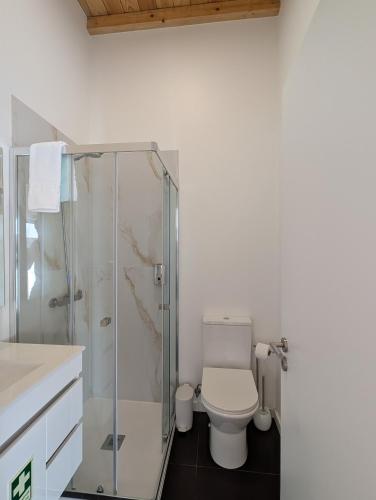 a bathroom with a toilet and a glass shower at Casas Albano 2 in Caldas da Rainha