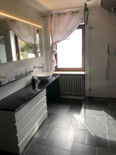 a bathroom with a sink and a mirror and a shower at Ferienwohnung Untersee in Öhningen
