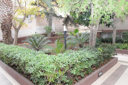 Zahrada ubytování Ilm Cagliari