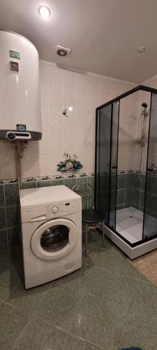 a washing machine in a bathroom with a shower at Iranija 21 in Daugavpils