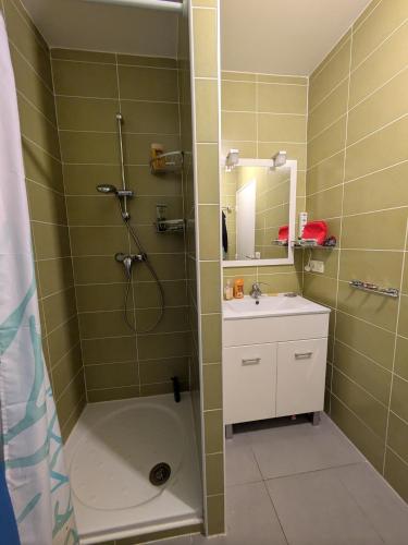 a bathroom with a shower and a sink at T2 Château vert in Le Grau-dʼAgde