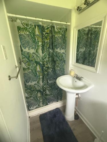 a bathroom with a sink and a green plant shower curtain at Palace priv april in Decatur