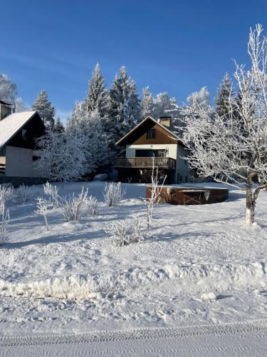 a snow covered yard with a house and trees at Chata Monika in Frymburk