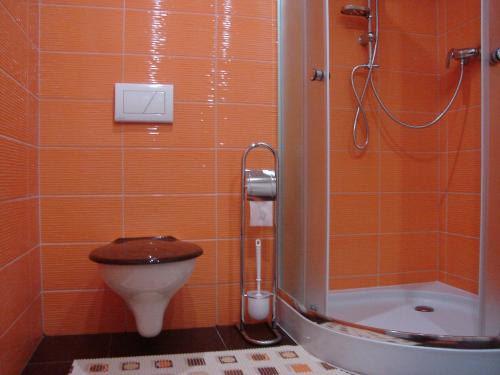 een badkamer met een toilet en een douche bij Šenk u Švejka in Ústí nad Labem