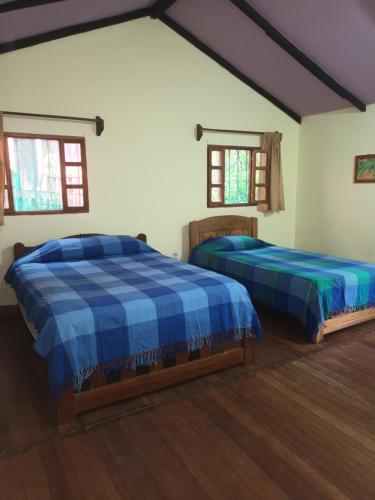 two beds in a room with two windows at Villa Jucumarini in Coroico