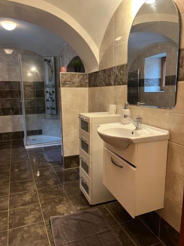 ein Badezimmer mit Waschbecken und Dusche in der Unterkunft Apartmány Adéla in Český Rudolec