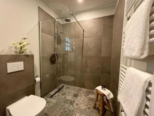 a bathroom with a shower and a toilet at Ferienwohnung VIER Hof Himmelgrün in Saal