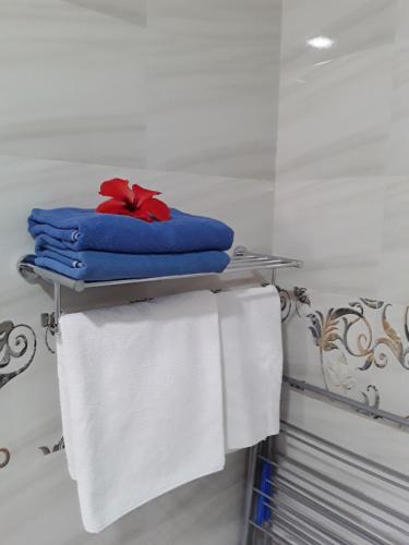 a towel rack in a bathroom with towels at Blue Sky Self Catering in Grand Anse