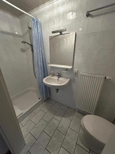 a bathroom with a sink and a toilet and a mirror at Gästehaus Reither in Schweigen-Rechtenbach