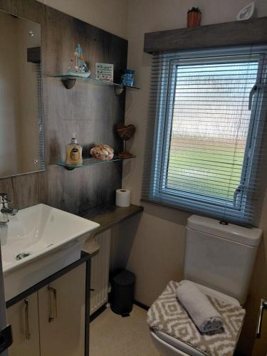 a bathroom with a sink and a toilet and a window at Hoburne Devon Bay - 2 Bed Caravan - Activity Passes Included in Goodrington