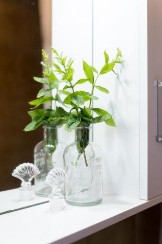 a glass vase with a plant in it on a shelf at Joya's Little Farm Cottage in Svoronata