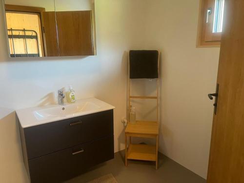 a bathroom with a sink and a mirror and a shelf at Ferienwohnung MARTIN in Göfis