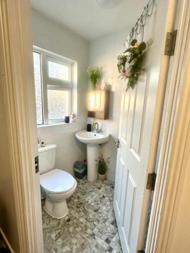 a bathroom with a toilet and a sink at Little Gem in Dublin