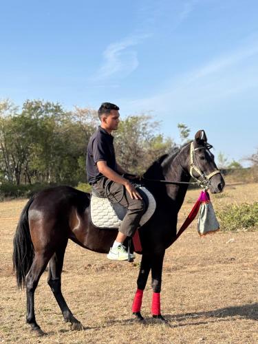 a man sitting on top of a horse at Hotel om banna in BhÄdura