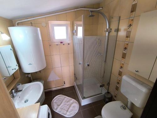 a bathroom with a shower and a toilet and a sink at Sárkányszikla Apartman in Nemti
