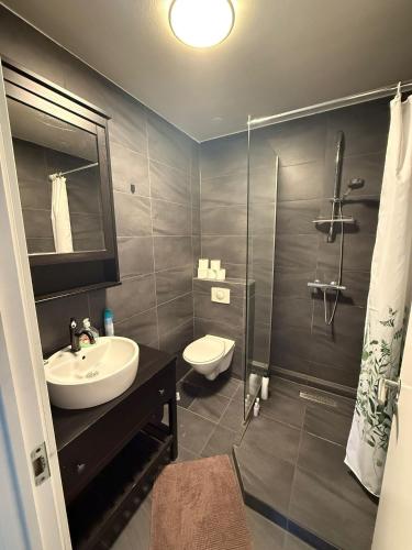 a bathroom with a sink and a toilet and a shower at Whale House in Keflavík
