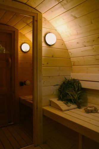 a sauna with two lights and a plant in it at Apartmány u Mravence in Starý Petřín