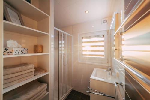 a bathroom with a sink and a shower at Floatinghouse Möwe 2 - LP2 in Vetschau