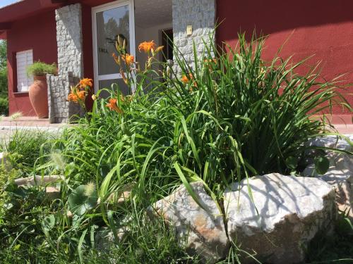 Hosteria Renca – Photos 2