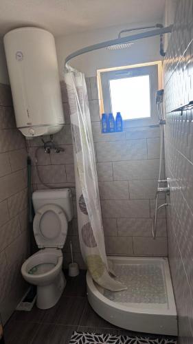a small bathroom with a toilet and a shower at Barth Apartments in Donji Štoj