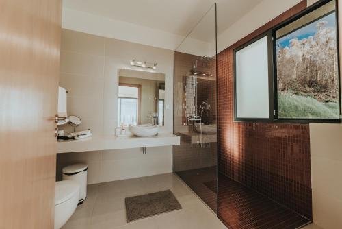 Un baño con inodoro, lavabo y ducha. en Ocean View Villa, en Funchal