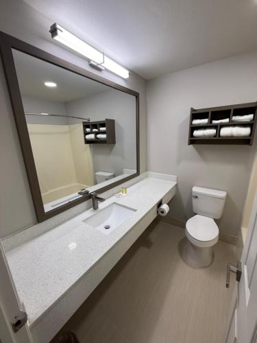 a bathroom with a sink and a mirror and a toilet at Travelodge by Wyndham Odessa in Odessa