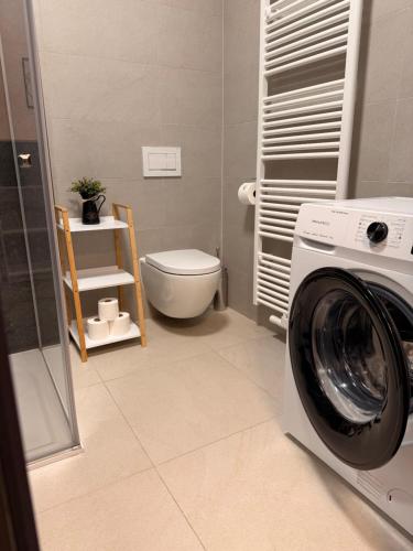 a bathroom with a washing machine and a toilet at Apartmány DEER House in Hodkovice nad Mohelkou