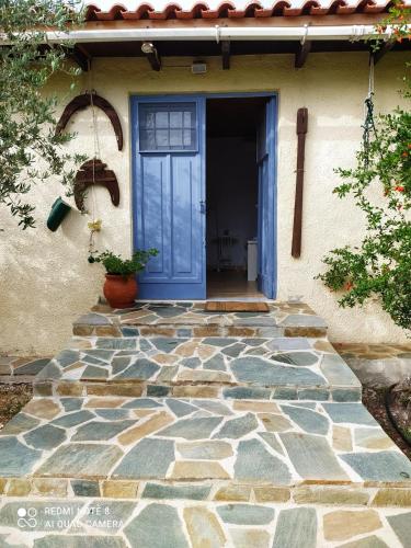 Perivoli, Olive & Pomegranate orchard