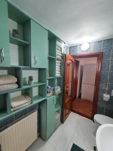 ein Badezimmer mit grünen Regalen und einer Toilette in der Unterkunft RaluApart in Bicaz