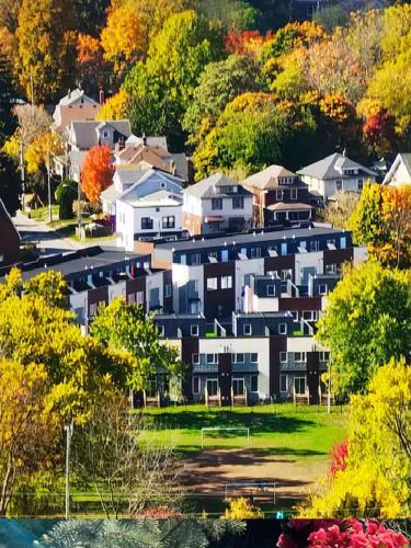 a group of houses in a city with trees at Bentley Commons Fallsview - Luxury 4 Bedroom 4 Bath Townhouse in Niagara Falls