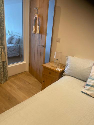 a bedroom with a bed and a mirror and a door at Estuary's Rest Studio Apartment at Galwad Y Mor in Cardigan