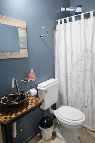 a bathroom with a white toilet and a sink at Cabaña 3 del Puerto Gol in Santo Tomé