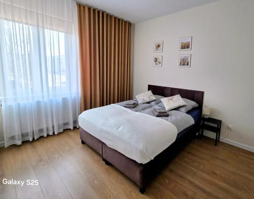 Apartament w Starym Koszarowcu