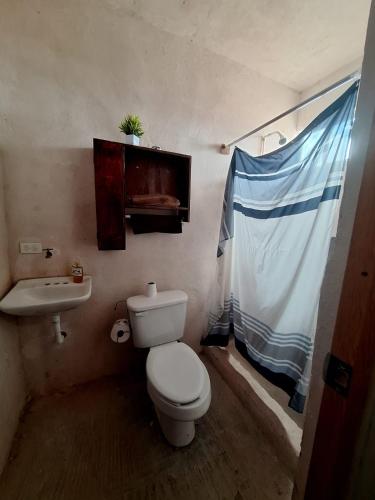 a small bathroom with a toilet and a sink at Cabaña Marmolejo in Arteaga
