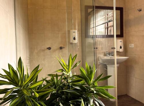 a bathroom with a shower and a sink at La Franchesca Hotel Boutique in Tabio